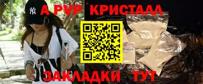СК Тара