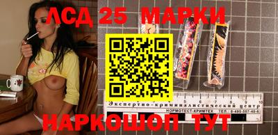 СК Тара