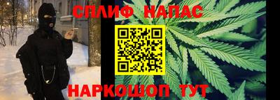 СК Тара
