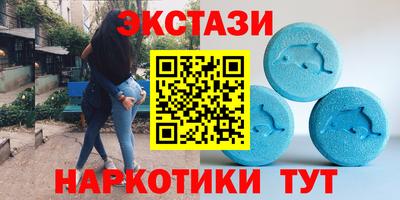 СК Тара