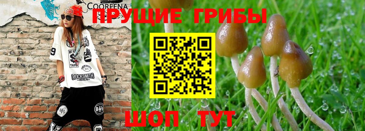 ГАШИШ Аксай