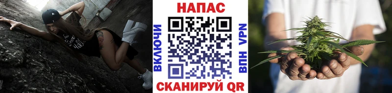 как найти   Аксай  Каннабис MAZAR 